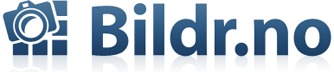 Bildr
